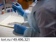 Blood test.Microbiological examination of blood. Стоковое фото, фотограф Лазаренко Светлана / Фотобанк Лори