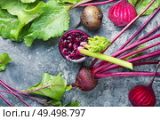 Beetroot juice.Beetroot detox smoothie.Healthy eating.Vegetable smoothie.Fresh beet juice. Fresh beetroot smoothie. Стоковое фото, агентство Ingram Publishing / Фотобанк Лори