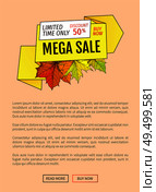 Limited time only buy now discount promo online poster. Autumn or fall, half price advertising online banner with foliage and green and orange leaf vector. Limited Time Only Buy Now Discount Promo Poster. Стоковая иллюстрация, агентство Ingram Publishing / Фотобанк Лори