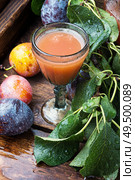Slivovitsa-plum brandy.Slivyanka,strong alcoholic drink made from ripe plums. Romanian national plum liquor. Стоковое фото, агентство Ingram Publishing / Фотобанк Лори