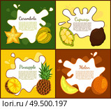 Carambola and cupuacu, posters set with information text sample. Pineapple and melon slices. Tropical and exotic ripe fruits. Ripe products vector. Carambola and Cupuacu Posters Vector Illustration. Стоковая иллюстрация, агентство Ingram Publishing / Фотобанк Лори