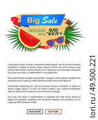 Summer sale watermelon discount isolated banner with text on stripe vector. Tropical leaves of palm tree, juicy fruit with seeds offering for clients. Summer Watermelon Discount Vector Illustration. Стоковая иллюстрация, агентство Ingram Publishing / Фотобанк Лори