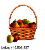 Willow wicker basket one handle full with ripe fresh farmer market fruits closeup realistic image vector illustration. Стоковая иллюстрация, агентство Ingram Publishing / Фотобанк Лори