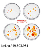 Mold fungus bacteria colonies set of four realistic images with round frames colourful dots and text vector illustration. Стоковая иллюстрация, агентство Ingram Publishing / Фотобанк Лори
