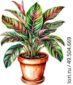 Calathea plant in a pot. Watercolor illustration on white background. Element, Sticker, Poster. Houseplants. Стоковое AI-изображение, AI-художник Ирина Самойлова / Фотобанк Лори