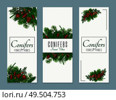 Conifer vertical banners set with forest vibes symbols flat isolated vector illustration. Стоковая иллюстрация, агентство Ingram Publishing / Фотобанк Лори