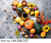 Autumn composing with pumpkin, fruit and fall leaves.Autumn still life. Autumn fall still life. Стоковое фото, агентство Ingram Publishing / Фотобанк Лори