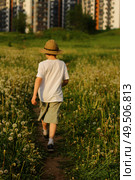 A child walks through a field with dandelions. Summer mood, family walks. Стоковое фото, фотограф Есич Елена / Фотобанк Лори