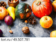 Autumn composing with pumpkin, fruit and fall leaves. Autumn fruit still life. Стоковое фото, агентство Ingram Publishing / Фотобанк Лори