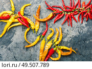 Cayenne pepper.Fresh red and yellow chili pepper. Fresh chili pepper. Стоковое фото, агентство Ingram Publishing / Фотобанк Лори