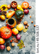 Autumn composing with pumpkin, fruit and fall leaves.Fall still life. Autumn harvest still life. Стоковое фото, агентство Ingram Publishing / Фотобанк Лори