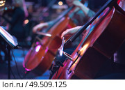 cello at a concert. Стоковое фото, агентство Ingram Publishing / Фотобанк Лори