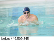 man swimmer swimming crawl in swimming pooltraining for triathlon. Стоковое фото, агентство Ingram Publishing / Фотобанк Лори