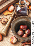 Horse chestnut oil extract in herbal medicine.Alternative medicine concept. Chestnut in herbal medicine. Стоковое фото, агентство Ingram Publishing / Фотобанк Лори