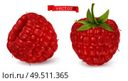Red raspberry vectorized image. Fresh fruit. 3d realistic vector icon. Стоковая иллюстрация, агентство Ingram Publishing / Фотобанк Лори