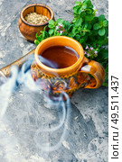 Medicinal tea from marjoram leaves.Herbal tea with oregano.. Fresh and dried oregano herb. Стоковое фото, агентство Ingram Publishing / Фотобанк Лори
