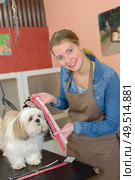 grooming a pet. Стоковое фото, агентство Ingram Publishing / Фотобанк Лори