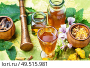 Tincture and healthy herbs.Assorted natural medical herbs and plants. Herbal naturopathic medicine. Стоковое фото, агентство Ingram Publishing / Фотобанк Лори