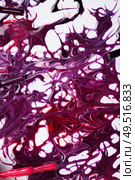 beautiful colorful abstract nail gel polish texture with applicators. Стоковое фото, агентство Ingram Publishing / Фотобанк Лори