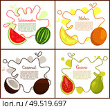 Watermelon and melon, posters with text sample. Fresh exotic natural products, tropical fruits. Coconut and papaya slice healthy organic food vector. Watermelon and Melon Posters Vector Illustration. Стоковая иллюстрация, агентство Ingram Publishing / Фотобанк Лори