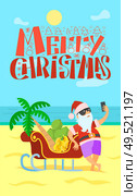 Merry Christmas, Santa Claus and sleigh full of bananas and grapes, palm tree. Vector New Year Character in tropical country at coastline, sand and seaview. Merry Christmas, Santa Claus, Sleigh Bananas Grape. Стоковая иллюстрация, агентство Ingram Publishing / Фотобанк Лори