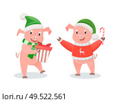 New Year piglets in Santa hats, winter holidays. Pigs in knitted scarf and sweater, gift box and cane candy, farm animals vector illustrations isolated. New Year Piglets in Santa Hats, Winter Holidays. Стоковая иллюстрация, агентство Ingram Publishing / Фотобанк Лори