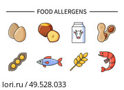 Food allergens, products causing illness and diseases vector. Allergy reasons, raw eggs and nuts, cow milk and beans with peas, wheat and fish shrimps. Food Allergens, Products Causing Illness Diseases. Стоковая иллюстрация, агентство Ingram Publishing / Фотобанк Лори