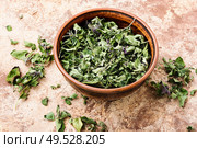 Oregano or marjoram leaves.Bowl of dried oregano leaves.Dried oregano seasoning. Dried oregano herb. Стоковое фото, агентство Ingram Publishing / Фотобанк Лори