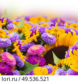mixed fresh autumn flowers border  isolated on white background. Стоковое фото, агентство Ingram Publishing / Фотобанк Лори