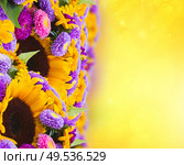 mixed fresh autumn flowers border  on golden bokeh background. mixed autumn flowers. Стоковое фото, агентство Ingram Publishing / Фотобанк Лори