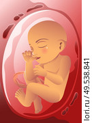 A vector illustration of baby in womb. Стоковая иллюстрация, агентство Ingram Publishing / Фотобанк Лори