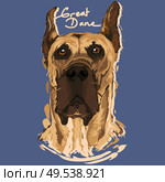 A vector illustration of Great Dane Painting Poster. Стоковая иллюстрация, агентство Ingram Publishing / Фотобанк Лори