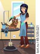 A vector illustration of a Pet Groomer Grooming a Dog at the Salon. Стоковая иллюстрация, агентство Ingram Publishing / Фотобанк Лори