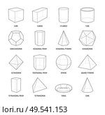 Basic stereometry shapes line set of cuboid octahedron pyramid prism cube cone cylinder torus isolated vector illustration. Стоковая иллюстрация, агентство Ingram Publishing / Фотобанк Лори