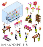 Flower shop isometric icons with customers and staff receiving online orders and making authors bouquets isolated vector illustration. Стоковая иллюстрация, агентство Ingram Publishing / Фотобанк Лори