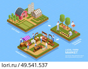 Local farmhouse facilities eco products growing harvesting selling at farmers market 3 isometric infographic compositions vector illustration. Стоковая иллюстрация, агентство Ingram Publishing / Фотобанк Лори