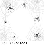 Black spiders web realistic background with round composition of insects sitting on spidernet with empty space vector illustration. Стоковая иллюстрация, агентство Ingram Publishing / Фотобанк Лори