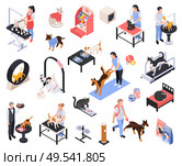 Pet services dogs grooming boarding walking fitness feeding vet examination vaccination isometric icons set isolated vector illustration. Стоковая иллюстрация, агентство Ingram Publishing / Фотобанк Лори
