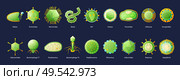 Human viruses set with hiv ebola influenza hepatitis green educative chart with names black background vector illustration. Стоковая иллюстрация, агентство Ingram Publishing / Фотобанк Лори