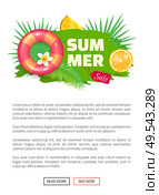 Summer sale banner with promo label vector. Seasonal promotion, for clients. Lifebuoy and orange slice, vacational proposition, pineapple fruit. Summer Summertime Sale Banner Vector Illustration. Стоковая иллюстрация, агентство Ingram Publishing / Фотобанк Лори