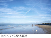 Horseback riders on a beach in the summer under a blue sky with white clouds. Стоковое фото, агентство Ingram Publishing / Фотобанк Лори