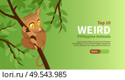 Phillipine travel isometric poster with top weird animals vector illustration. Phillipine Travel Poster. Стоковая иллюстрация, агентство Ingram Publishing / Фотобанк Лори