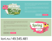 Sale, discount and best offer, label for springtime promotion and advertising, daisy bouquet. Advertisement decorated by flowers, greeting for ladies vector. Website with links buy and read now. Springtime Label with Flowers, Web Offer Vector. Стоковое фото, агентство Ingram Publishing / Фотобанк Лори