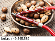 Tobacco smoking hookah with the aroma of nuts.. Shisha with a nutty flavor. Стоковое фото, агентство Ingram Publishing / Фотобанк Лори
