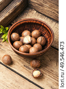 Macadamia nut on wooden table.Heap of macadamia nuts. Shelled macadamia nuts. Стоковое фото, агентство Ingram Publishing / Фотобанк Лори