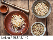 Dry moong dal usal and sprouted green gram spicy usal.Sprouted moong, mung or green gram. Sprout whole mung dal. Стоковое фото, агентство Ingram Publishing / Фотобанк Лори