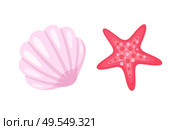 Aquatic creatures vector, isolated icons of conch and starfish. Pink seastar with five corners, animals living in sea water, ocean bottom dwellers. Starfish and Seashell, Conch Closeup Mollusk Set. Стоковая иллюстрация, агентство Ingram Publishing / Фотобанк Лори