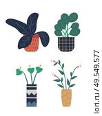 Flowers growing in pots vector, flowerpot with foliage flat style. Isolated set of botany, calla and lilly with leaves, blooming botany, floral decoration. Room Plant Isolated Set, Pots and Foliage Flower. Стоковая иллюстрация, агентство Ingram Publishing / Фотобанк Лори