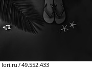 Minamalist black summer flat lay scenery on plain background with palm leaf and flip flops, copy space. Summer flat lay scenery. Стоковое фото, агентство Ingram Publishing / Фотобанк Лори