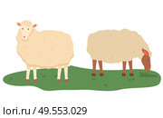 Sheep vector, isolated domestic animals on pasture, farmyard fluff pet breeding and tending, care for fluffy mammals with wool, lamb standing on grass. Sheep on Pasture, Animals Livestock Farming Vector. Стоковая иллюстрация, агентство Ingram Publishing / Фотобанк Лори